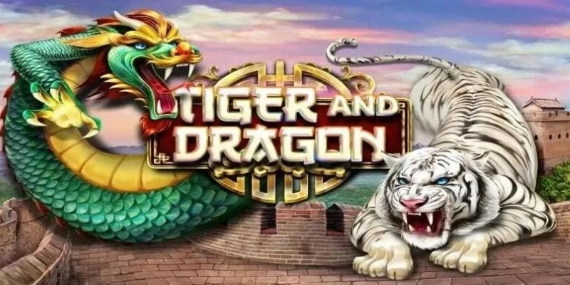 Thông tin về luật chơi game bài Dragon Tiger VUA99 cực hot